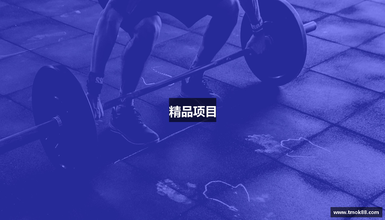 精品项目
